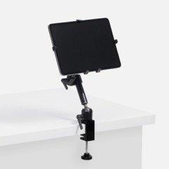 iPad Mount (in-cabin)