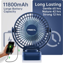 Portable Fan